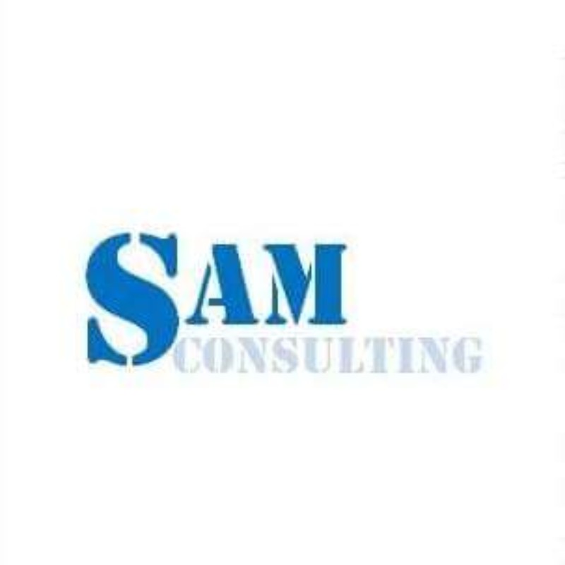 Sustainable Accelerated Management Consulting 